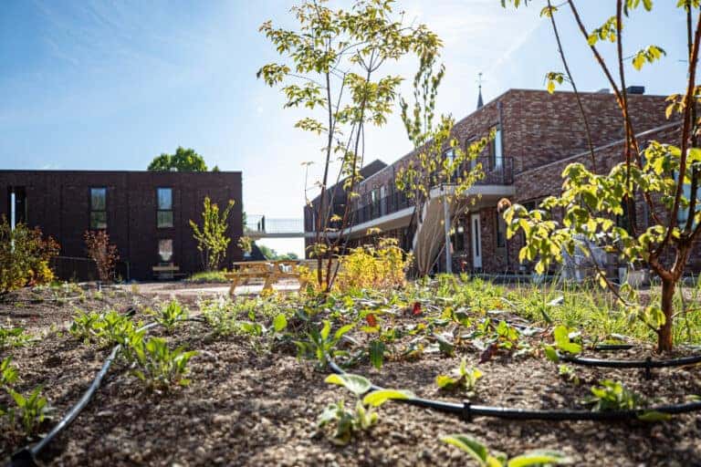 Heerlijke daktuin voor appartementen in Vaassen